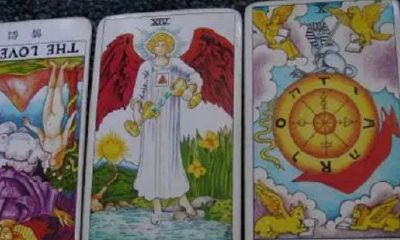 塔罗牌爱情高塔正位什么意思（塔罗牌正位爱情）