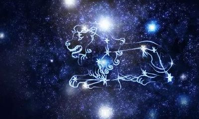 阳历2月8日是什么星座（公认最讨厌的星座排名）