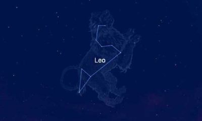 狮子女和什么座最配对排行（狮子座女生最佳配对星座）