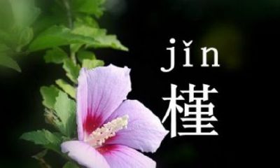 槿字取名为什么凶（槿与瑾取名哪个好）