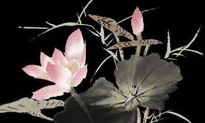 转运珠指什么样的女人（什么样的人要佩戴转运珠）