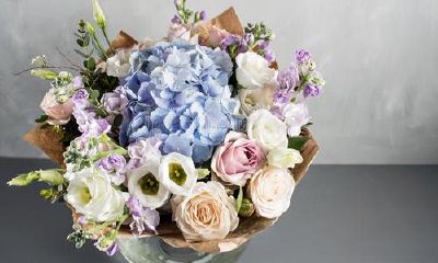 促成一段姻缘的俗语（关于成就姻缘的谚语）