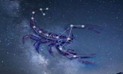 天蝎座很污嘛（天蝎座污不污）