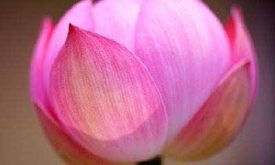 前四世轮回免费测试（免费测试前世今生六道轮回）