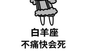 白羊座男双子座女婚配好吗（与双子座女最配的星座）