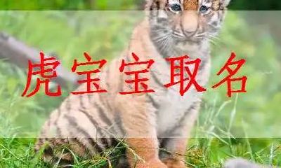 属虎的孩子乳名（属虎名字带什么好）