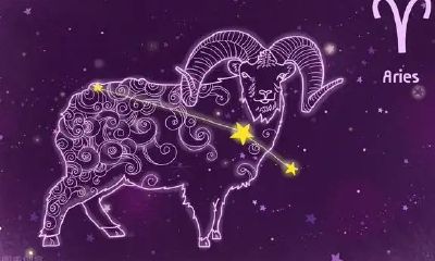 白羊座在星座排名第几（双子座在星座中排名第几）