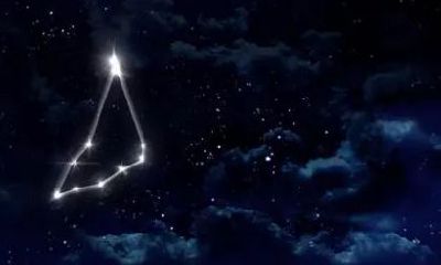 摩羯女最讨厌什么男生（摩羯女偏爱哪类型男生）