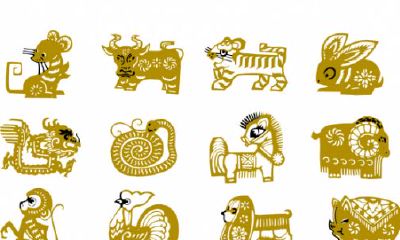 属相命运排行（12生肖命最好的属相）