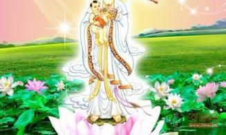 出道仙财运什么时候才能好（男属羊女猴的婚姻状况）