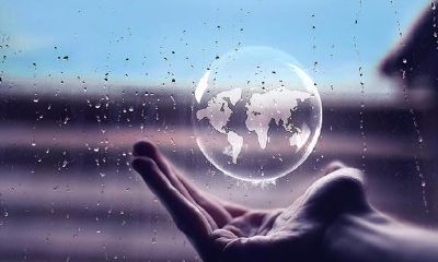 梦见狗扑向自己惊醒（梦见狗咬自己惊醒了）