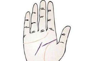 手相分几种线（手相事业线分叉多是什么意思）