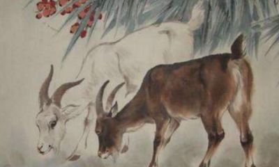 十二生肖的命运大全（一辈子超好命的生肖）