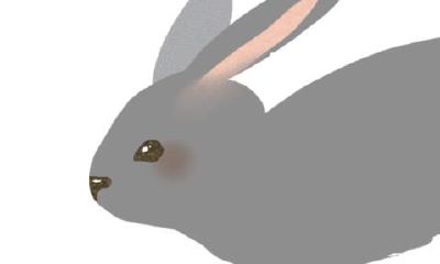 1987年属兔女婚姻事业怎么样（1985年属牛是什么命）