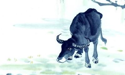 今天是哪个属相的年（今年是什么年什么属相）