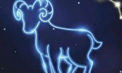 白羊座喜欢主动的女生还是被动的（白羊座喜欢一个人的表现）