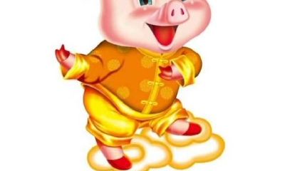 男属狗女属猪好吗（男属猪和女属狗的合不合）