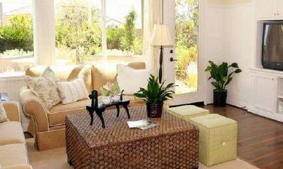 金牛招财适合摆放哪里（八种植物招财又旺宅）