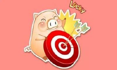 属猪的今年健康吗（属猪和属鼠的合不合）