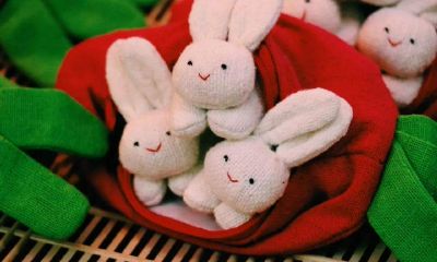 1987年属兔女人性格缺点（1987年属兔女一生有几次婚姻）