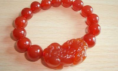 94年属狗的是火命还是木命（1994年属狗人的命运）