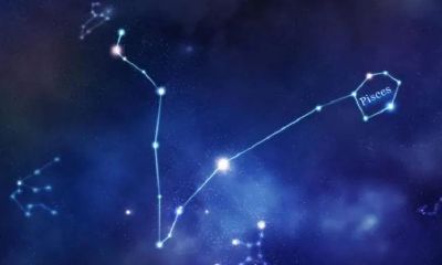 双子座长大男生会变帅吗（双子座男生长相特点）