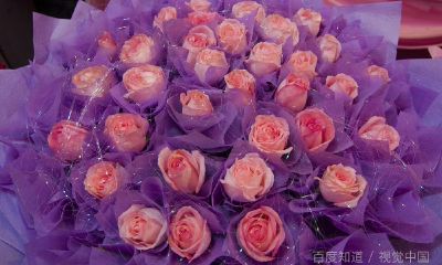 梦到地里有花生预示着什么（梦到地里好多花生是什么意思）