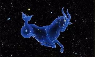 注定跟天蝎座白头偕老的星座（和天蝎注定天生一对的星座）