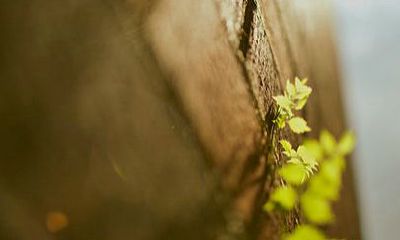 水瓶座女6月感情运势（水瓶座今年的感情运势）