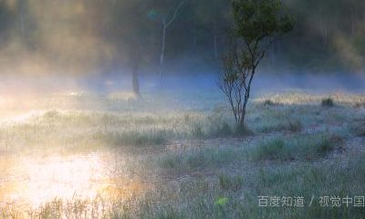 周公解梦1000个梦的解释梦见自已被水淹（周公解梦大全查询梦见死去的人）