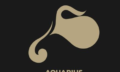 怎么追到水瓶座的男生（怎么追水瓶座男生聊天）