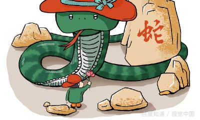 梦见四条蛇周公解梦（看面相生辰八字能信吗）