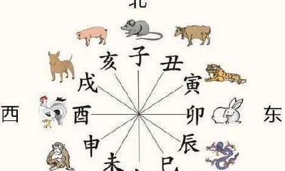 丑未相冲出一元是指什么样的生肖（丑和什么相冲）