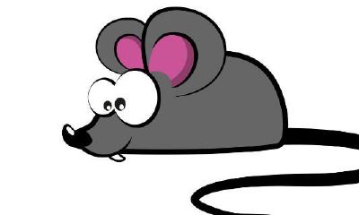 1992年属猴的是什么年（1992年属猴吗）