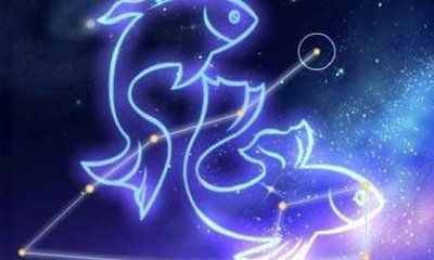 双鱼座明运势女（双鱼座女每天的运势如何）