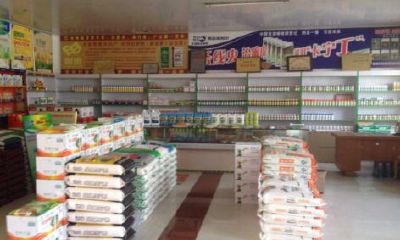 农村商店取名大全免费（农村商店取名）