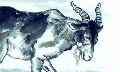 属羊相冲还是相合（与属鼠相合的属相）