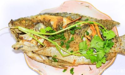 孕妇怀什么旺财（镇宅招财旺人的植物）