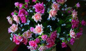 家里摆设干花对风水好吗（周公解梦梦见和狗打架家人帮忙把狗打死了）