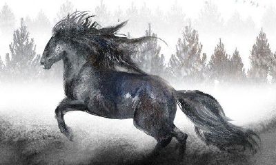 2023年属马人全年运势1978女（1978年属马女命苦）