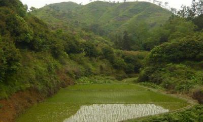 阳宅最好风水宝地（阳宅风水图解大全）