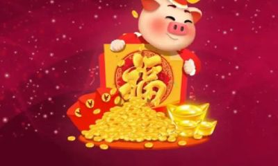 2025年属猪要出大事（2023年属猪下半年要出大事）