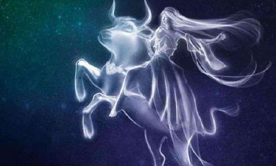 如何表白金牛座女生（跟金牛座女生表白）