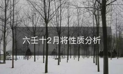 探究六壬书中十二个月份的属性和特性：从六壬学角度出发，进行深入分析