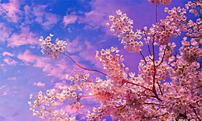 预测：2023年农历十一月的黄道吉日可能会为人们带来何种机遇和收获？