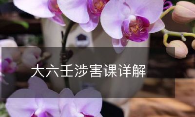 全面解析大六壬涉害课，深入探讨该课的相关知识和技巧