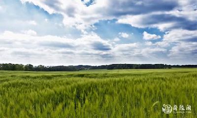 如何应对本命年第一天生病的困扰并顺利迎来结束本命年的说说？