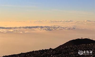 “本命年的起点竟患病！”——来自一个本命年人的启示录