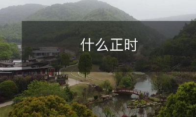 代码是什么？它的特点和作用是什么？