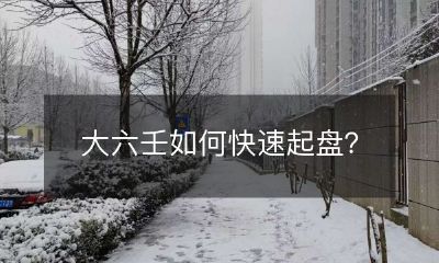 掌握大六壬的启盘技巧，助您快速开局！